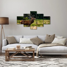 Obraz jelenia (125x70 cm)
