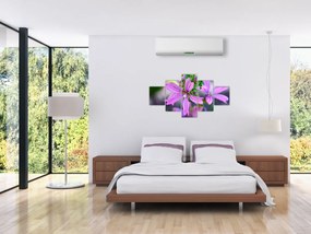 Zbliżenie kwiatu (125x70 cm)