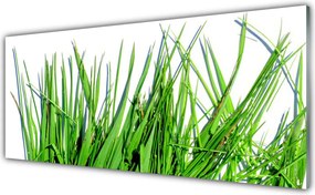 Panel Kuchenny Naturalny Motyw Trawy