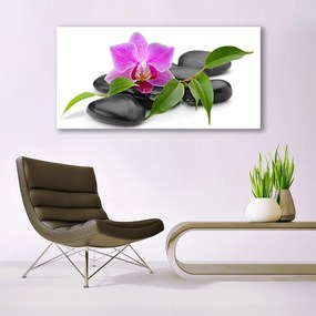 Obraz Canvas Kwiat Orchidea Sztuka