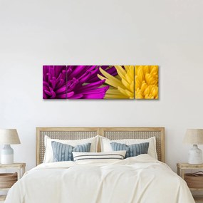 Obraz - szczegóły kwiatów (170x50 cm)