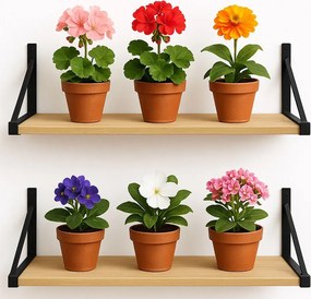 2 półki ścienne na kwiaty dąb sonoma 80 cm C9-E36