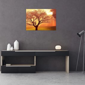 Obraz na szkle promieni Boga (70x50 cm)