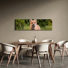 Obraz lisa (170x50 cm)