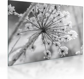 Obraz na szkle - Kwiat w zimie (70x50 cm)