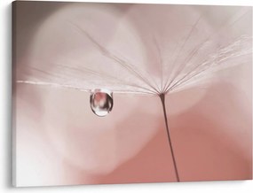 Obraz - Kropla rosy (70x50 cm)