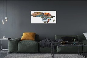 Duży obraz na płótnie Zebra, Żyrafa i Tygrys