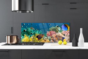 Panel Kuchenny Podwodny Świat Rafy