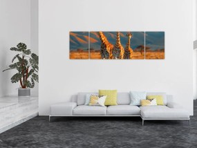 Obraz - Żyrafy na pastwisku (170x50 cm)