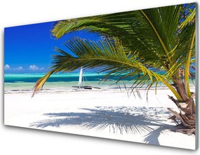 Panel Szklany Tropikalne Wybrzeże Z Palmą