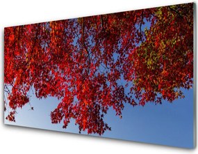 Panel Szklany do Kuchni Rozłożysta Korona Drzewa