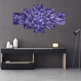 Obraz ośnieżonych drzew (125x70 cm)
