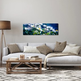 Obraz stokrotek (z zegarem) (90x30 cm)