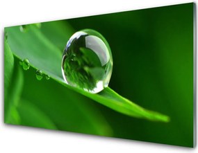 Panel Kuchenny Krople Rosy Na Liściu