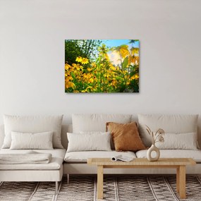 Obraz żółtych kwiatów (70x50 cm)