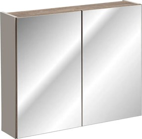 Wisząca szafka łazienkowa z lustrem szary krzemowy T5-K09