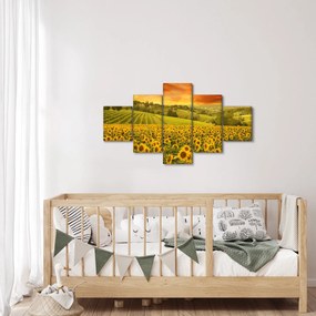 Obraz - Pole słoneczników (125x70 cm)