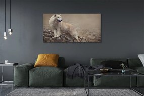 Obraz drukowany na płótnie Wilk na Górskim Szlaku