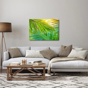Obraz - Liście palmowe (70x50 cm)