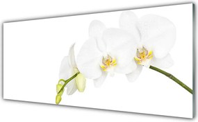 Panel Szklany Letni Ogród Botaniczny