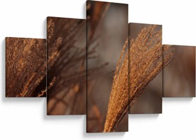 Obraz - Kortaderia (125x70 cm)