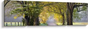 Zdjęcie - Smoky Mountains, Gatlinburg, USA (170x50 cm)