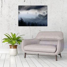 Obraz mgły nad lasem (70x50 cm)