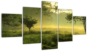 Obraz - Budzący się las (125x70 cm)
