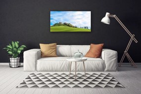 Zdjęcie na płótnie Samotne Drzewo na Polanie