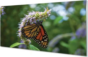 Panel Szklany Wiosenny Motyl na Kwiecie