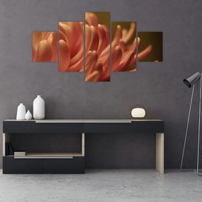 Obraz szczegółów kwiatu (125x70 cm)