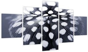 Obraz - Piórko (125x70 cm)