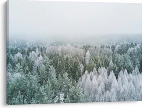 Obraz - Ośnieżone szczyty lasów (70x50 cm)