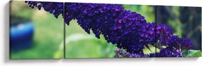 Obraz niebieskiego kwiatu (170x50 cm)