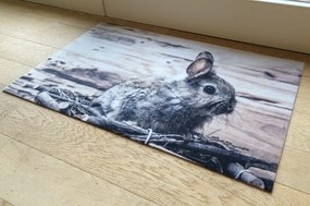 Wycieraczka Deco Star Myszoskoczek 50 cm x 80 cm