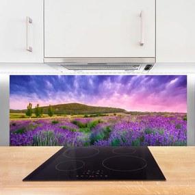 Szkło do Kuchni na Ścianę Alpejska Łąka W Kwiatach