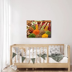 Obraz - Przyprawy z całego świata (70x50 cm)