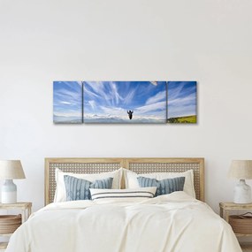 Obraz - Paralotniarstwo (170x50 cm)