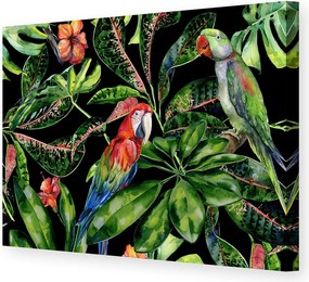 Obraz na płótnie Tropical Birds