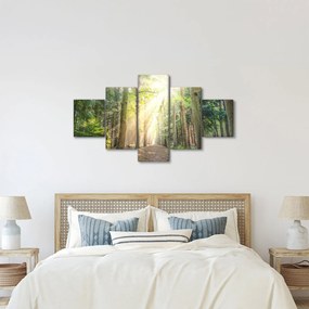 Obraz ścieżki w lesie (125x70 cm)