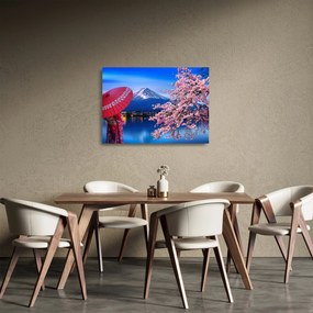 Obraz na szkle - Widok na szczyt, Japonia (70x50 cm)