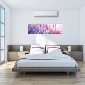 Obraz - Lawenda w słońcu (170x50 cm)