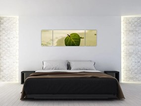 Obraz liścia w piasku (170x50 cm)
