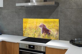 Panel szklany do Kuchni Kot w Trakcie Polowania