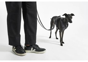 Ciemnoszare szelki dla zwierząt w rozmiarze XS długość 25 cm Modena Asphalt XS – MiaCara