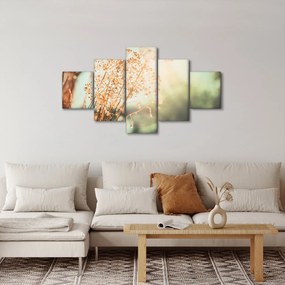 Obraz - Rośliny po deszczu (125x70 cm)