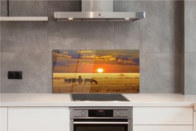 Panel szklany do Kuchni Zebry o Zachodzie Słońca