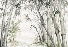 Fototapeta - Bambusy (196x136 cm)