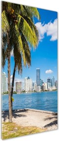 Foto obraz szkło akryl pionowy Miami