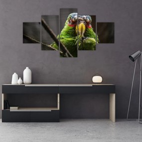 Obraz papugi (125x70 cm)